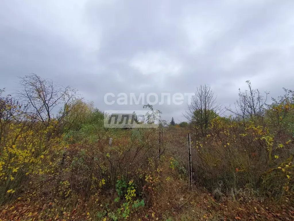 Участок в Воронежская область, Хохольское городское поселение, Крона-3 ... - Фото 0