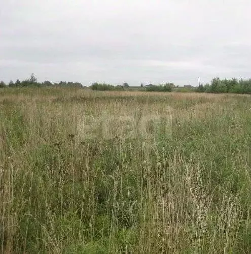Участок в Мордовия, Лямбирский район, Саловское с/пос, д. Новое ... - Фото 1