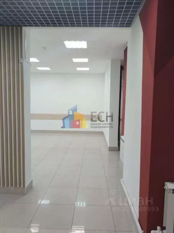 Помещение свободного назначения в Тульская область, Тула просп. ... - Фото 1