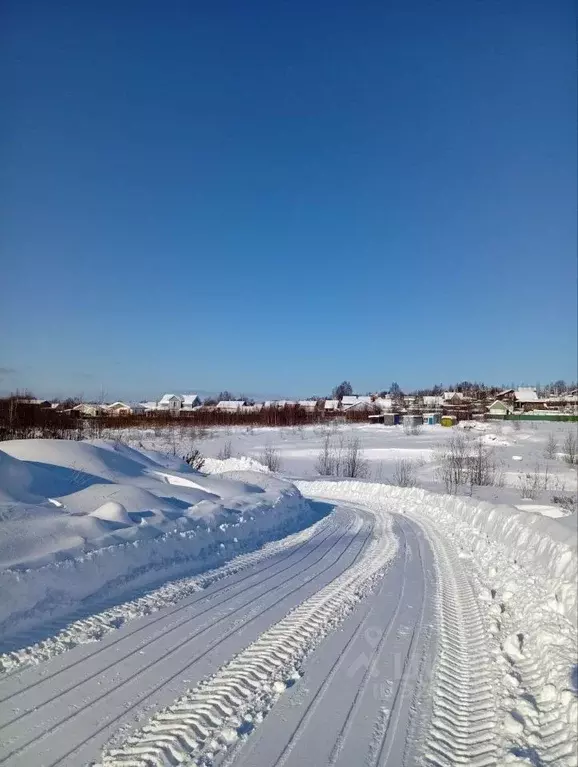 Участок в Московская область, Дмитровский муниципальный округ, д. ... - Фото 1