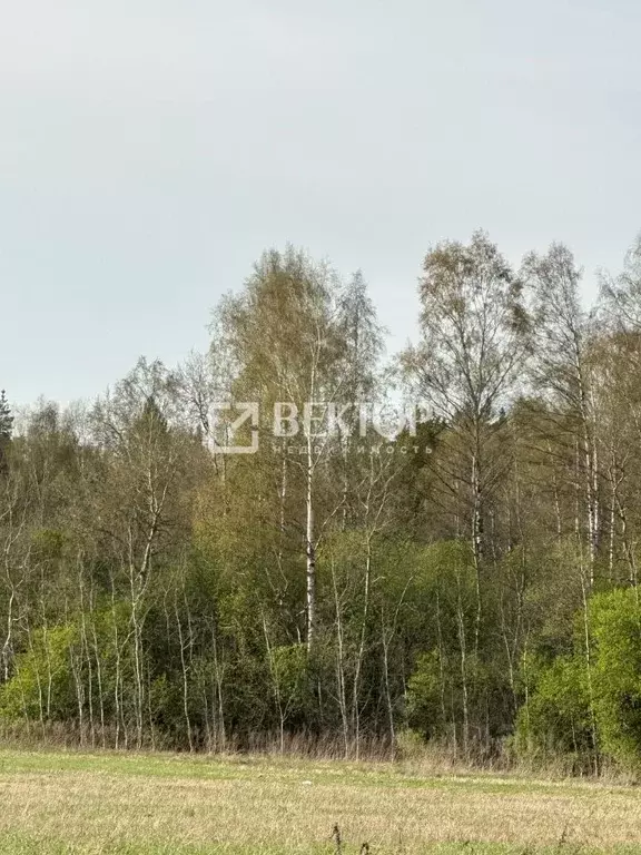 Участок в Ивановская область, Иваново ул. Киселевых (10.0 сот.) - Фото 0