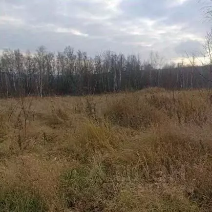 Участок в Московская область, Луховицы муниципальный округ, д. Берхино ... - Фото 2