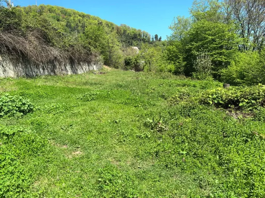 Участок в Краснодарский край, Сочи городской округ, с. Воронцовка ул. ... - Фото 0