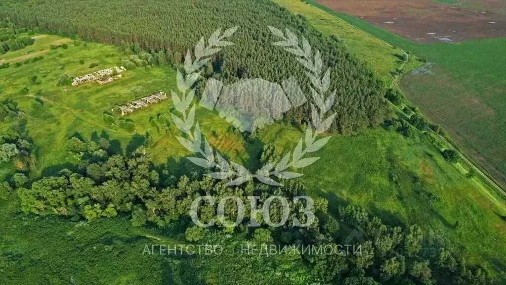 Участок в Калужская область, Перемышльский район, Покровское с/пос, д. ... - Фото 2