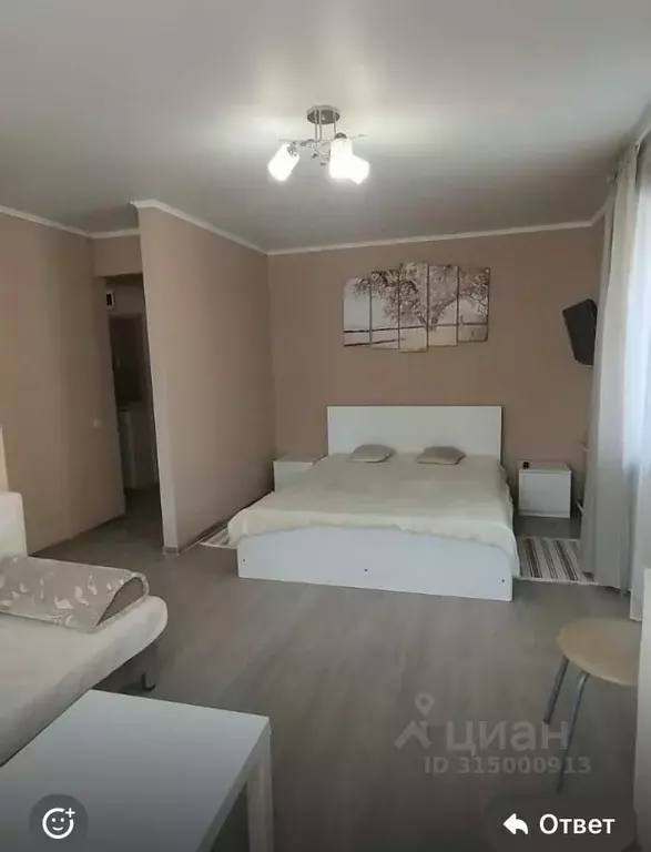 Свободной планировки кв. Татарстан, Казань просп. Ибрагимова, 15 (34.0 ... - Фото 1