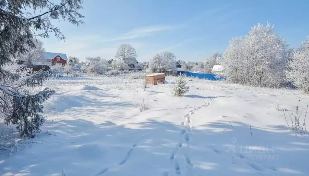 Участок в Ленинградская область, Приозерский район, Сосновское с/пос, ... - Фото 1