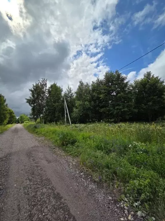 Участок в Калининградская область, Зеленоградск пос. Сосновка,  (6.0 ... - Фото 0