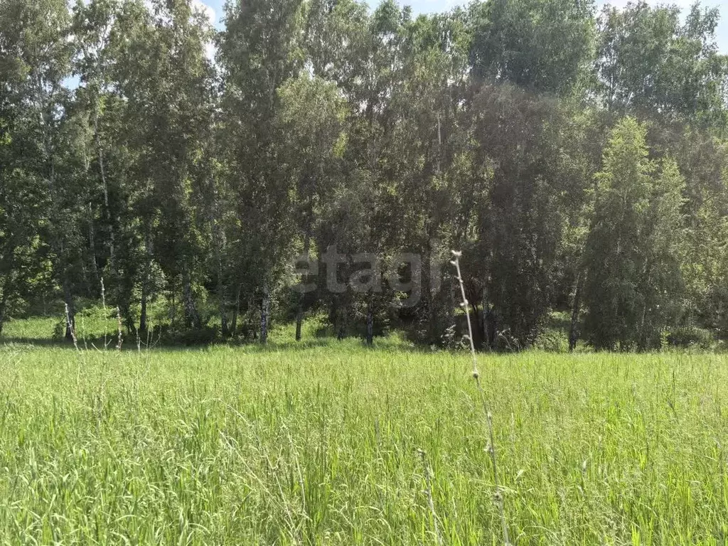 Участок в Новосибирская область, Новосибирский район, Морской ... - Фото 0