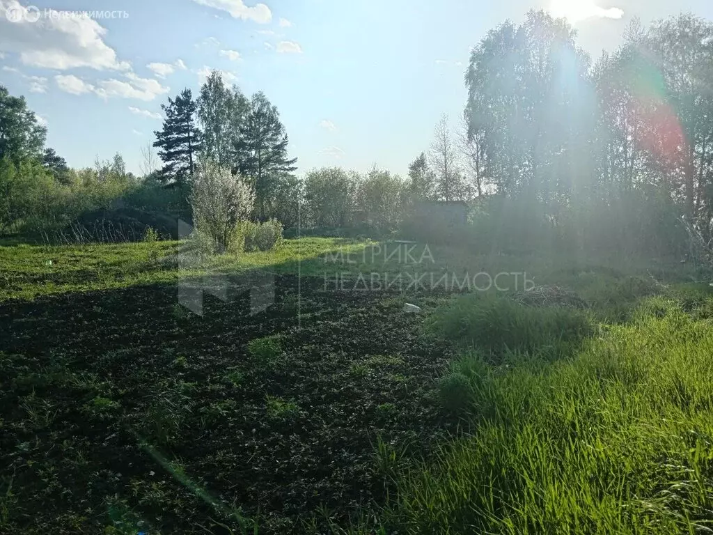 Участок в Тюмень, СНТ Ясень, Четвёртая улица (10 м) - Фото 2