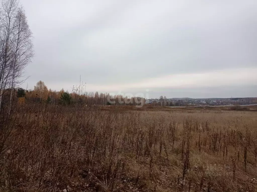 Участок в Свердловская область, Горноуральский городской округ, с. Лая ... - Фото 0