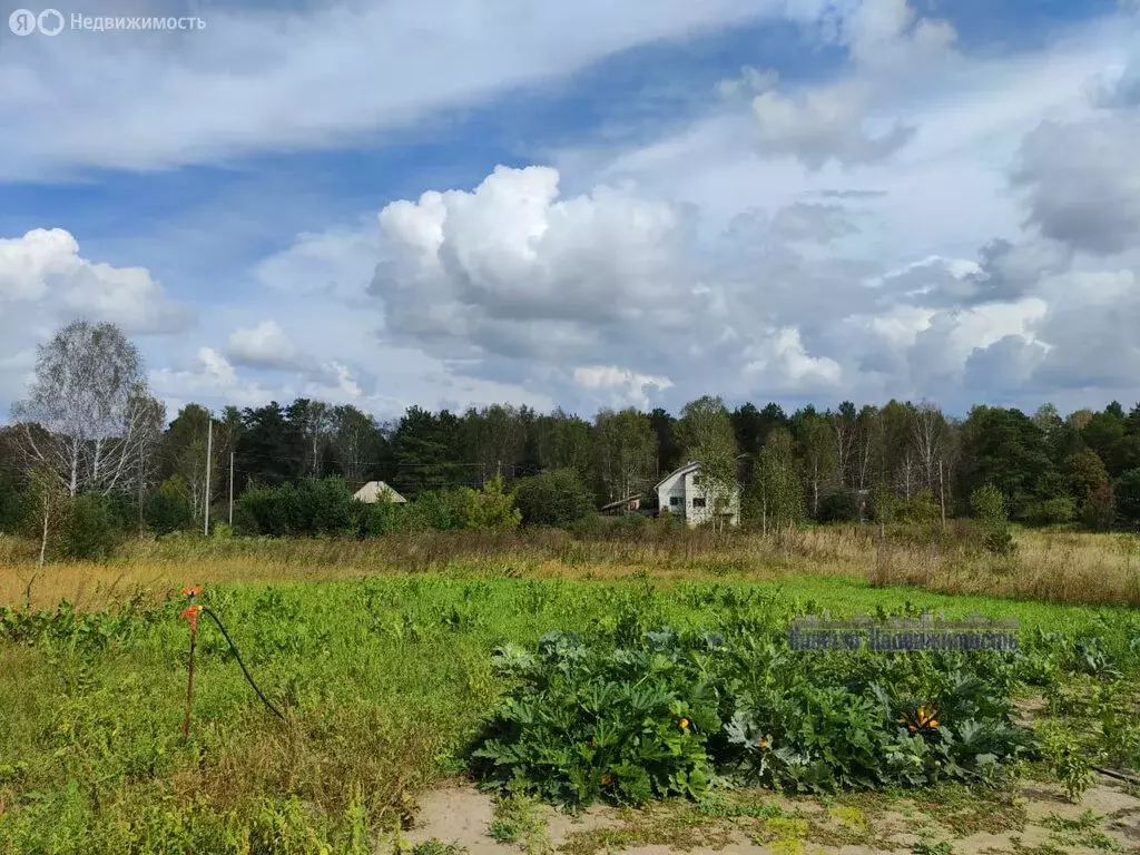 Участок в Первомайский район, разъезд Лосиха, Центральная улица, 23 ... - Фото 1