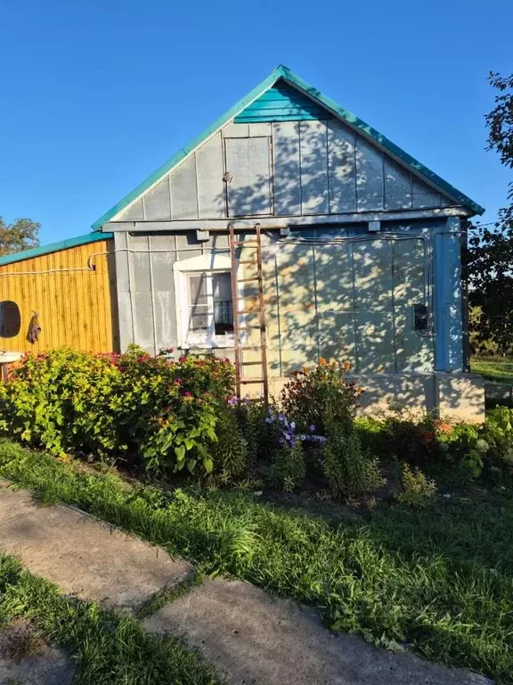 Дом в Воронежская область, Хохольский район, Гремяченское с/пос, с. ... - Фото 2