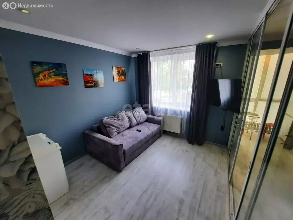 1-комнатная квартира: Михайловск, улица Ишкова, 91 (28 м) - Фото 1