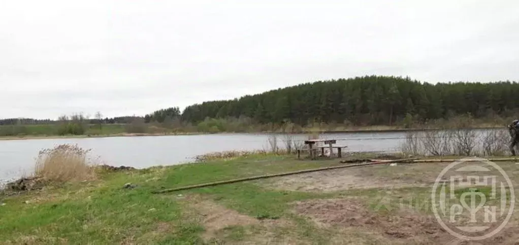 Участок в Псковская область, Струго-Красненский муниципальный округ, ... - Фото 1