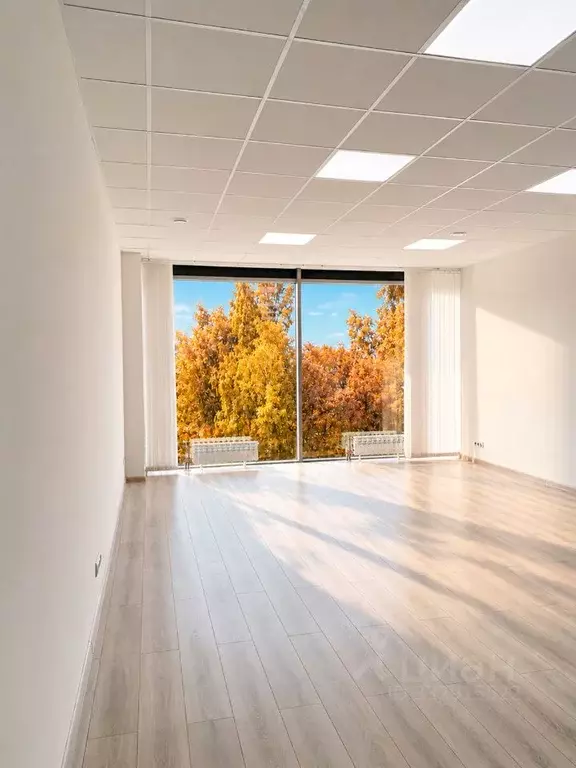 Офис в Санкт-Петербург ул. Фучика, 25 (56 м) - Фото 2