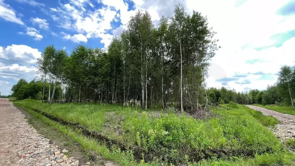 Участок в Московская область, Раменский городской округ, с. Карпово  ... - Фото 0