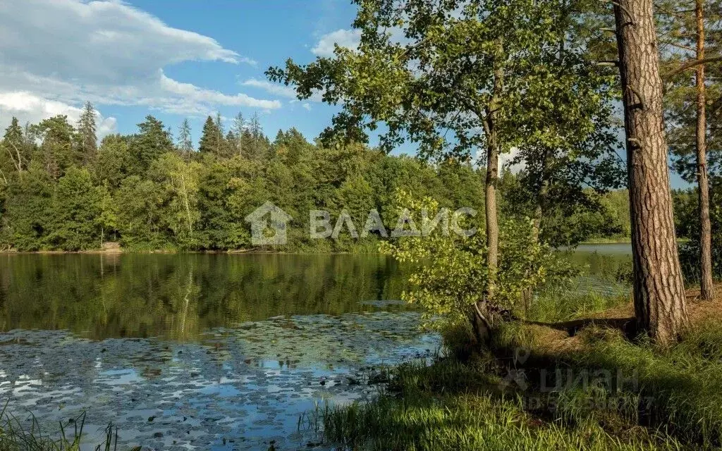 Участок в Владимирская область, Судогодский район, Вяткинское ... - Фото 0