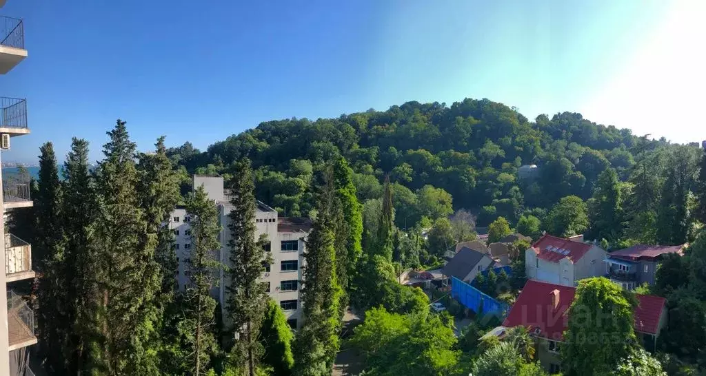 1-к кв. Краснодарский край, Сочи Хоста жилрайон, ул. Шоссейная, 3Е ... - Фото 1