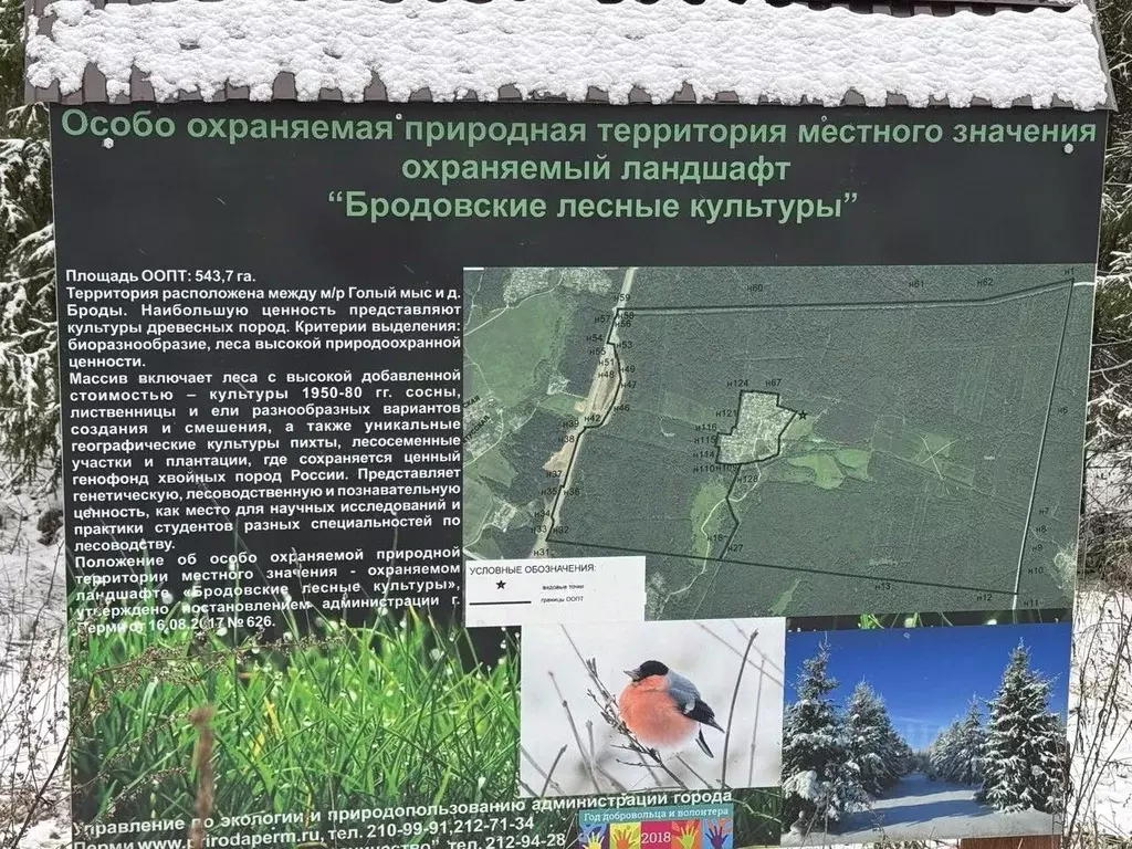 Участок в Пермский край, Пермь Оазис садоводческое товарищество,  ... - Фото 1