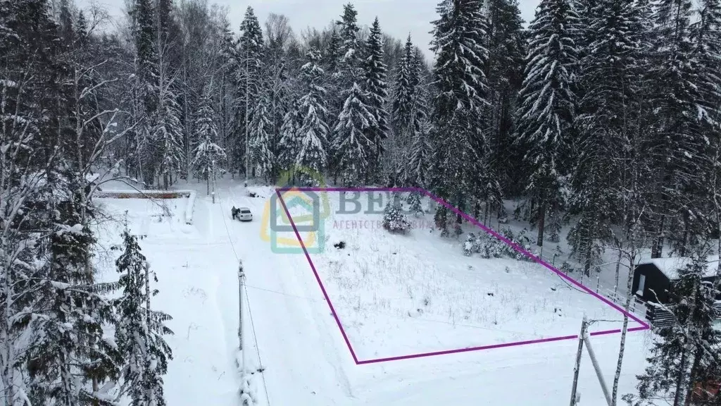 Участок в Ленинградская область, Всеволожский район, Токсовское ... - Фото 1