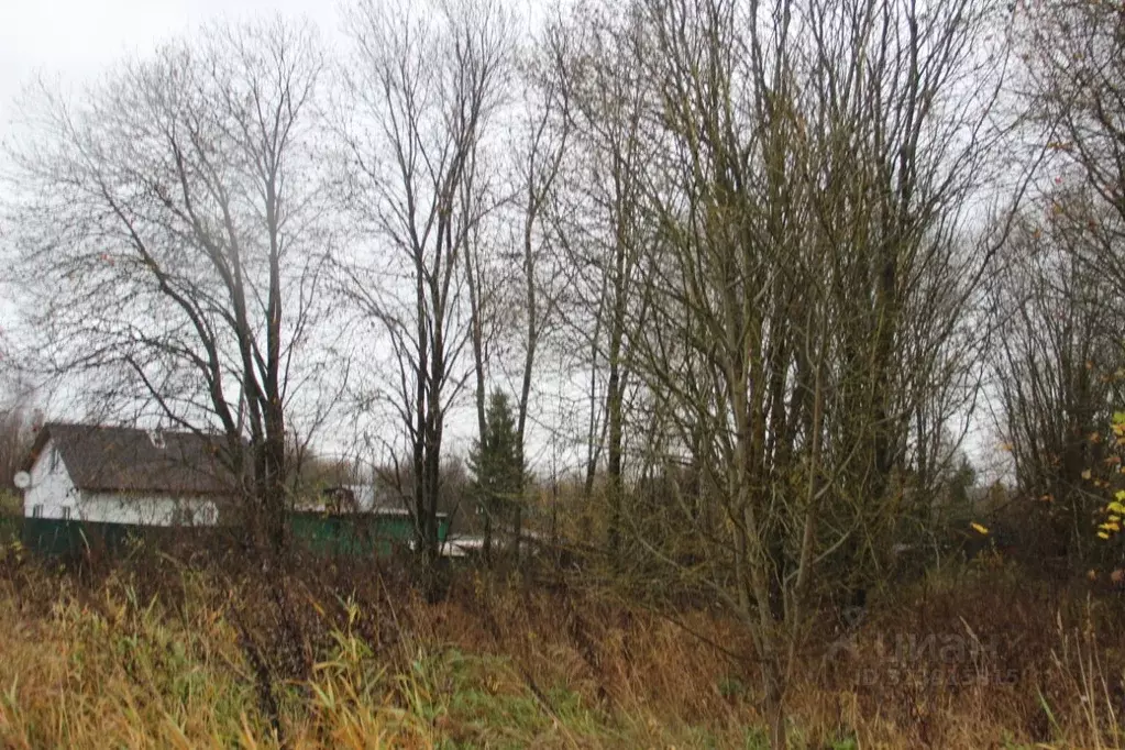 Участок в Московская область, Шаховская муниципальный округ, д. ... - Фото 1