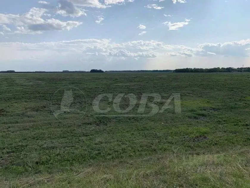 Участок в Тюменская область, Нижнетавдинский район, Журавли ДНП  (10.0 ... - Фото 0