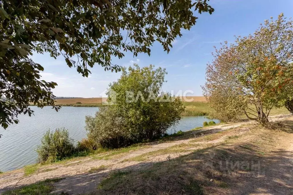 Участок в Владимирская область, Суздальский район, Новоалександровское ... - Фото 1