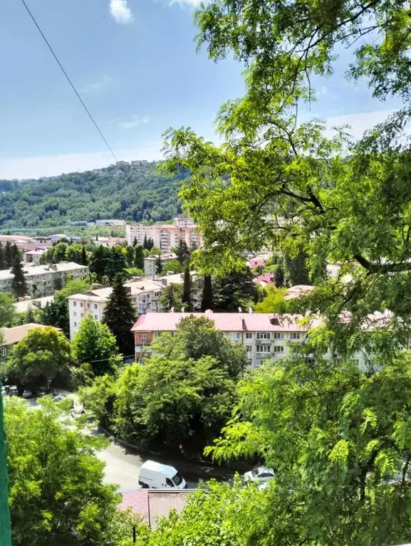 Студия Краснодарский край, Сочи Пластунская ул. (35.0 м) - Фото 2