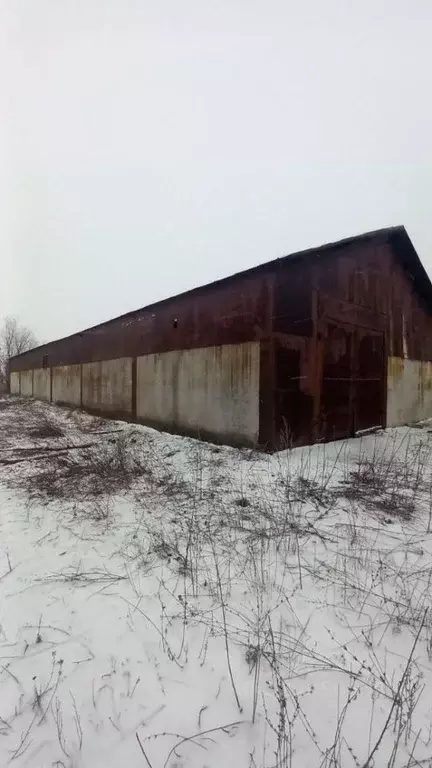 Склад в Саратовская область, Энгельс муниципальное образование, пос. ... - Фото 2