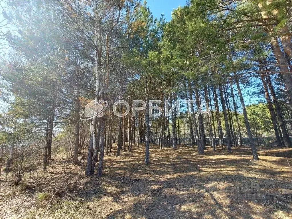 Участок в Тюменская область, Тюменский муниципальный округ, пос. ... - Фото 1