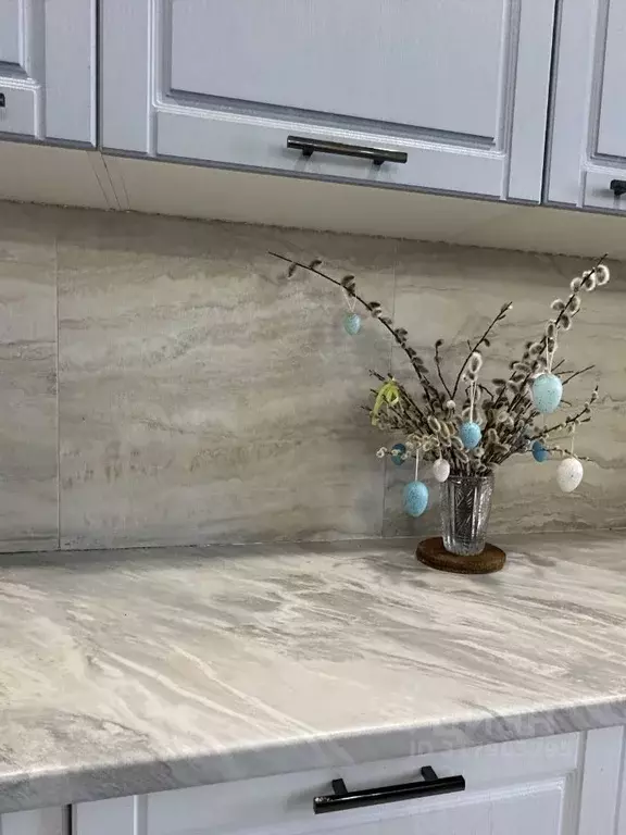 2-к кв. Омская область, Омск ул. 1-ой Красной Звезды, 79 (66.0 м) - Фото 2