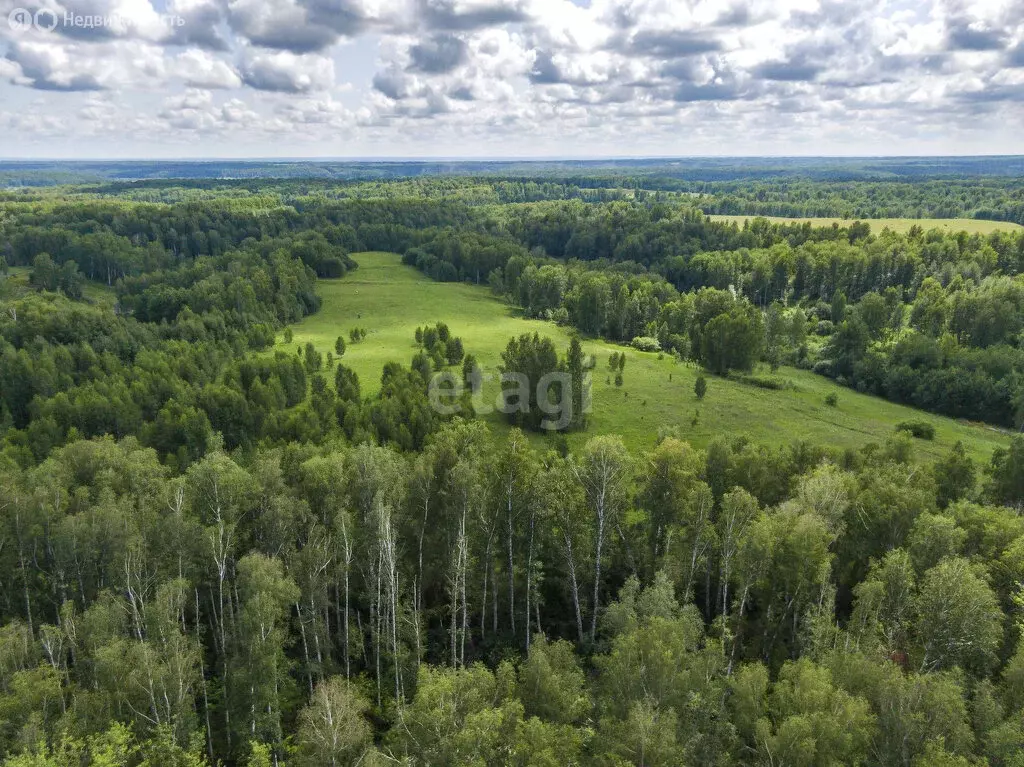 Участок в Мошковский район, село Сокур (13144.4 м) - Фото 0