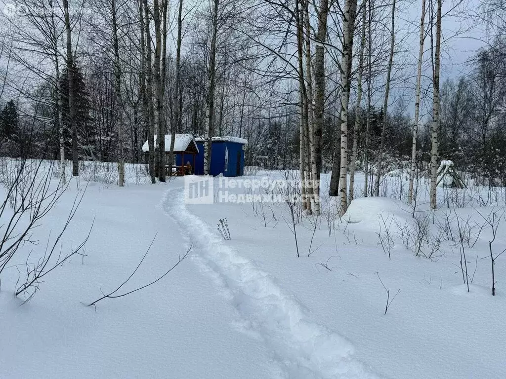 Участок в Рощинское сельское поселение, деревня Борисово, Лесная улица ... - Фото 1