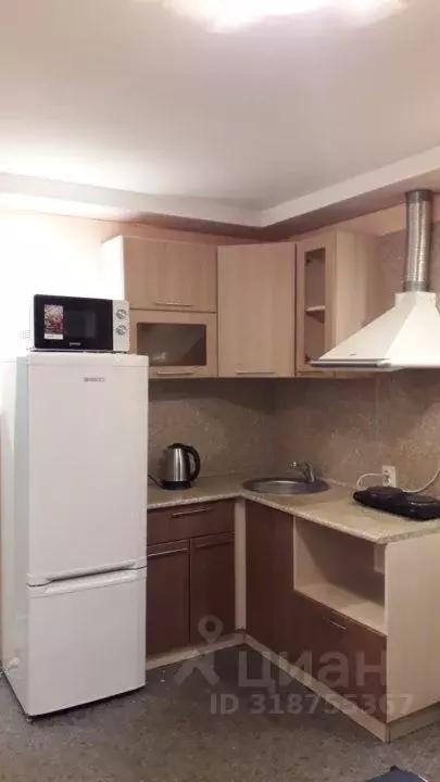 Студия Омская область, Омск просп. Мира, 28а (20.0 м) - Фото 1