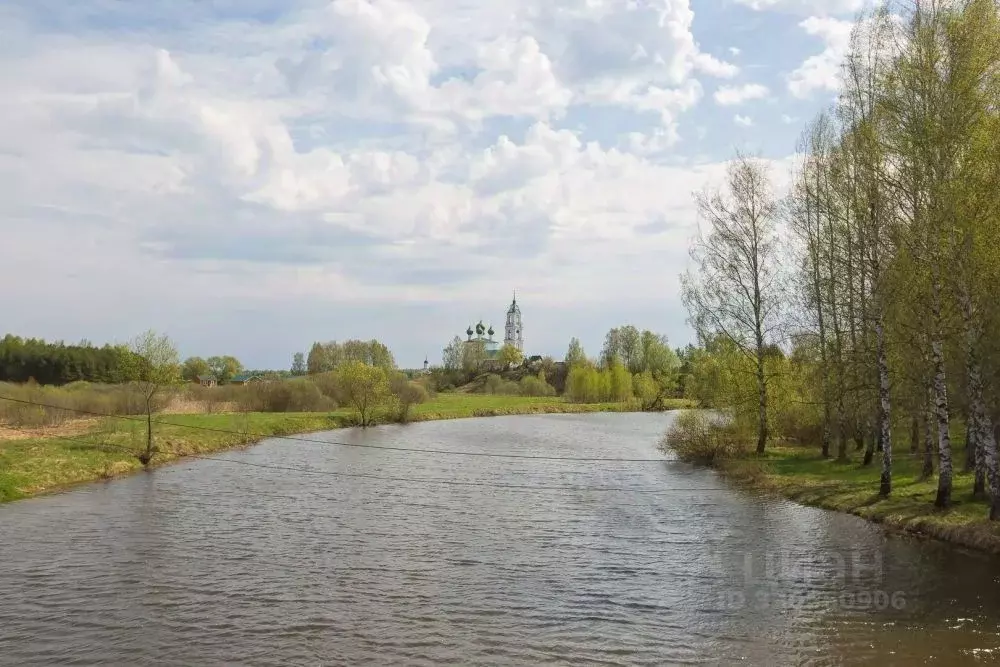 Дом в Ярославская область, Некрасовский муниципальный округ, с. ... - Фото 1