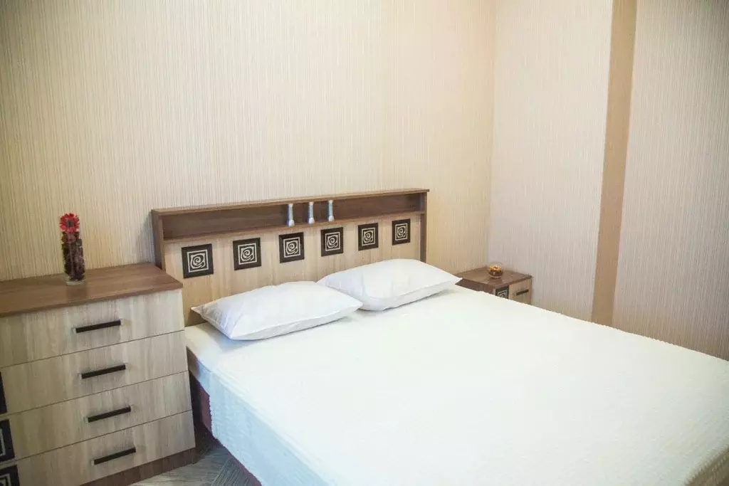 1-к кв. Новосибирская область, Новосибирск ул. Немировича-Данченко, ... - Фото 2