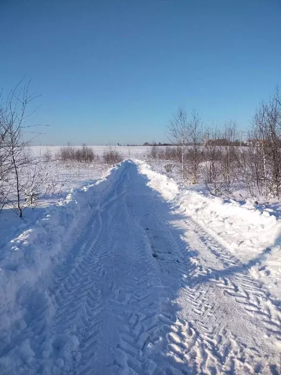 Участок в Московская область, Истра городской округ, д. Ябедино  (6.67 ... - Фото 1