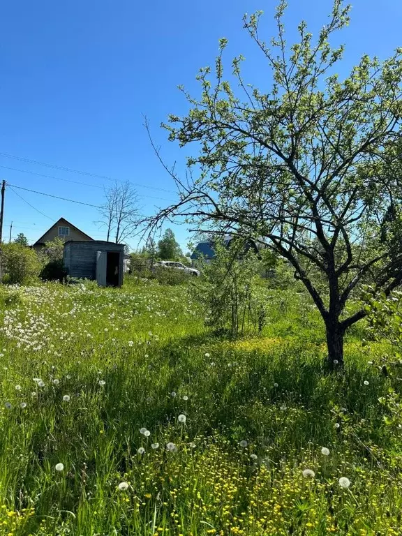 Участок в Новгородская область, Новгородский район, Ермолинское с/пос, ... - Фото 0