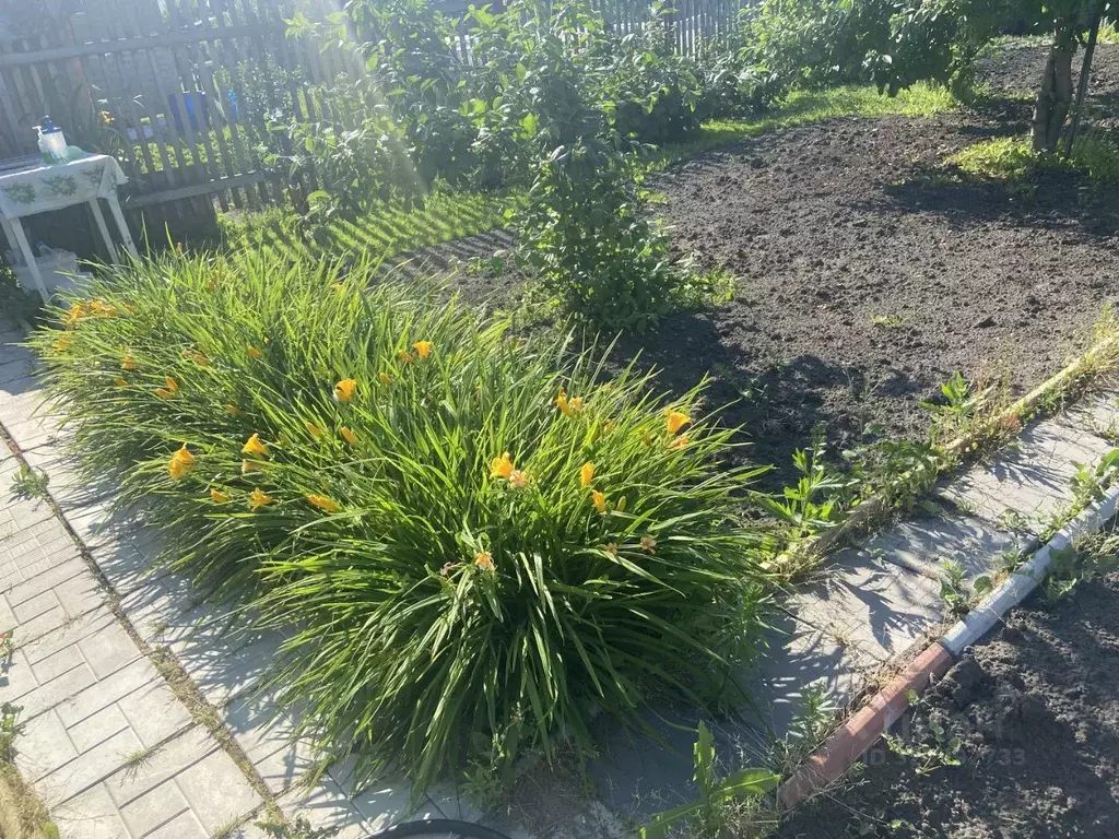 Дом в Омская область, Омск Нефтяник СНТ, 11 (13 м) - Фото 1