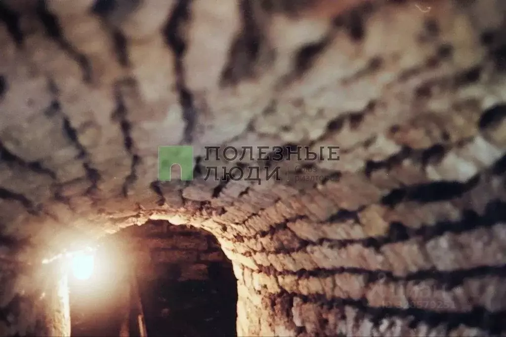 Участок в Орловская область, Краснозоренское с/пос, с. Орево  (32.0 ... - Фото 1