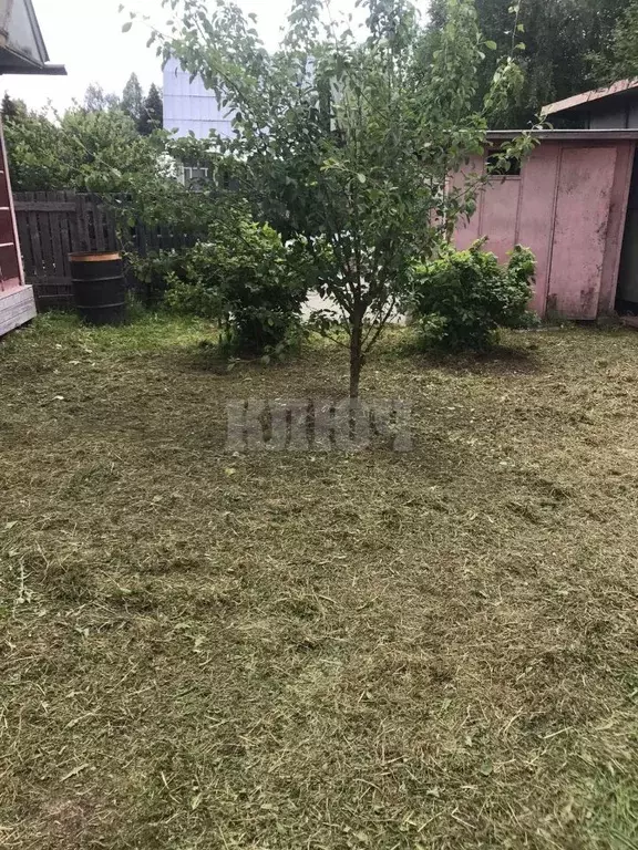 Дом в Вологодская область, Сокольский муниципальный округ, Керамик ... - Фото 1