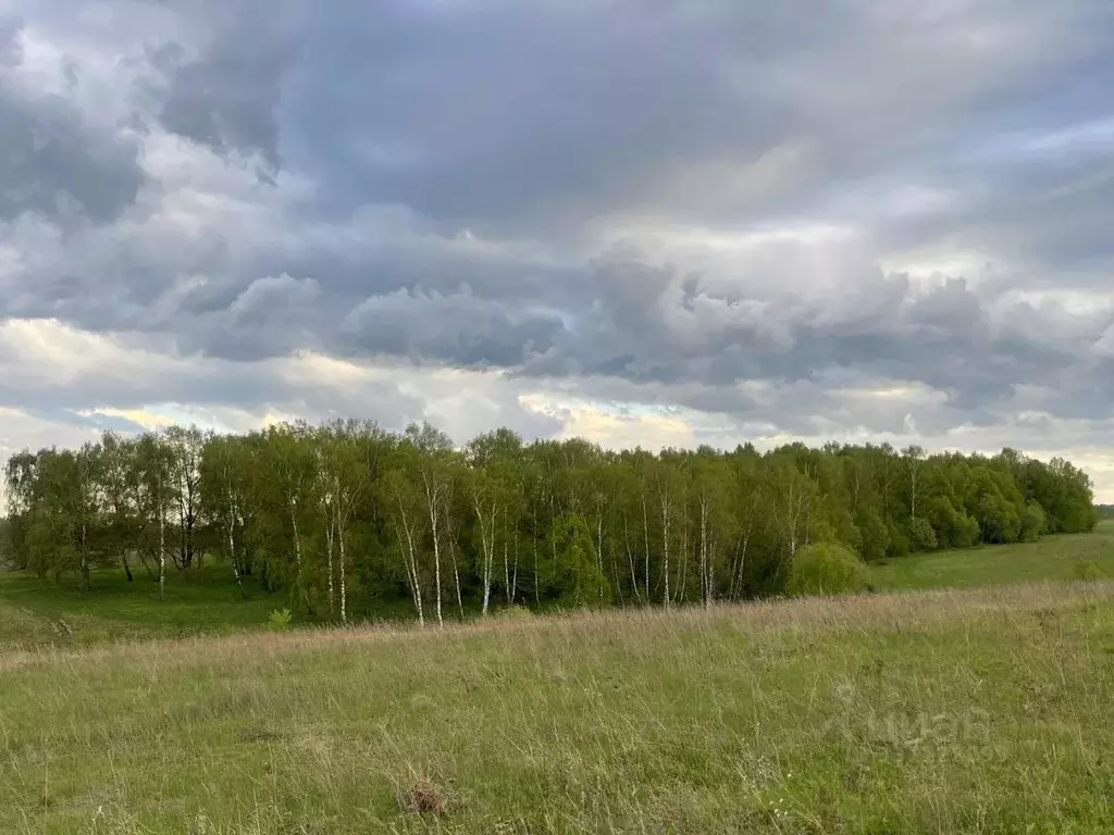 Участок в Московская область, Серпухов городской округ, д. Большое ... - Фото 1
