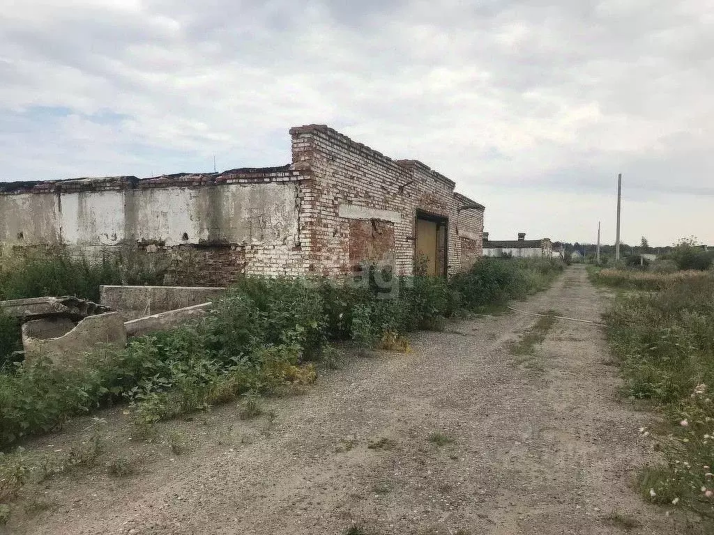 Производственное помещение в Тамбовская область, Тамбовский ... - Фото 0