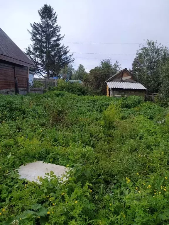 Дом в Новосибирская область, Новосибирск Бугринский мир СНТ,  (65 м) - Фото 1
