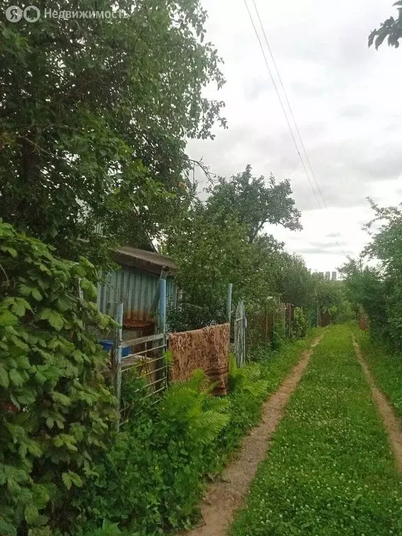Дом в Нижний Новгород, садовое товарищество Маяк, 590 (55 м) - Фото 1