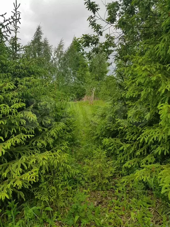Участок 9 сот. (СНТ, ДНП) - Фото 0