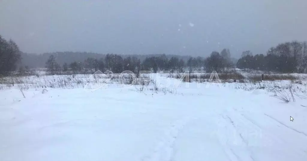 Участок в Свердловская область, Тугулымский городской округ, д. ... - Фото 0