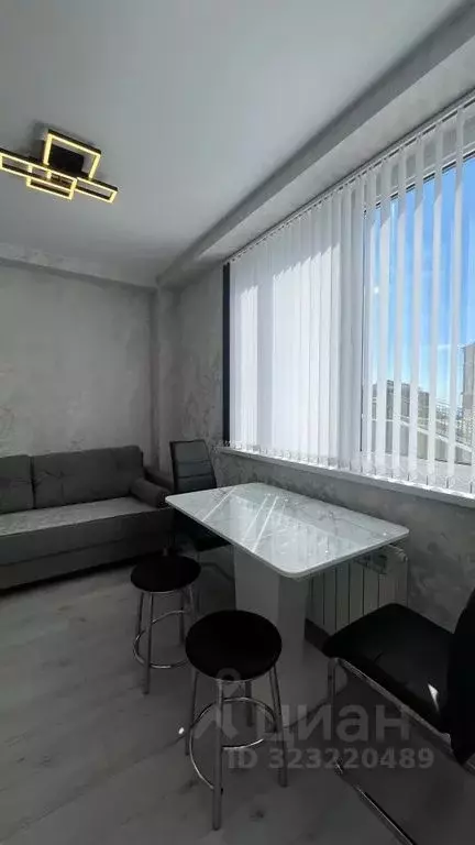 1-к кв. Краснодарский край, Сочи ул. Ленина, 290/8к1 (30.0 м) - Фото 1