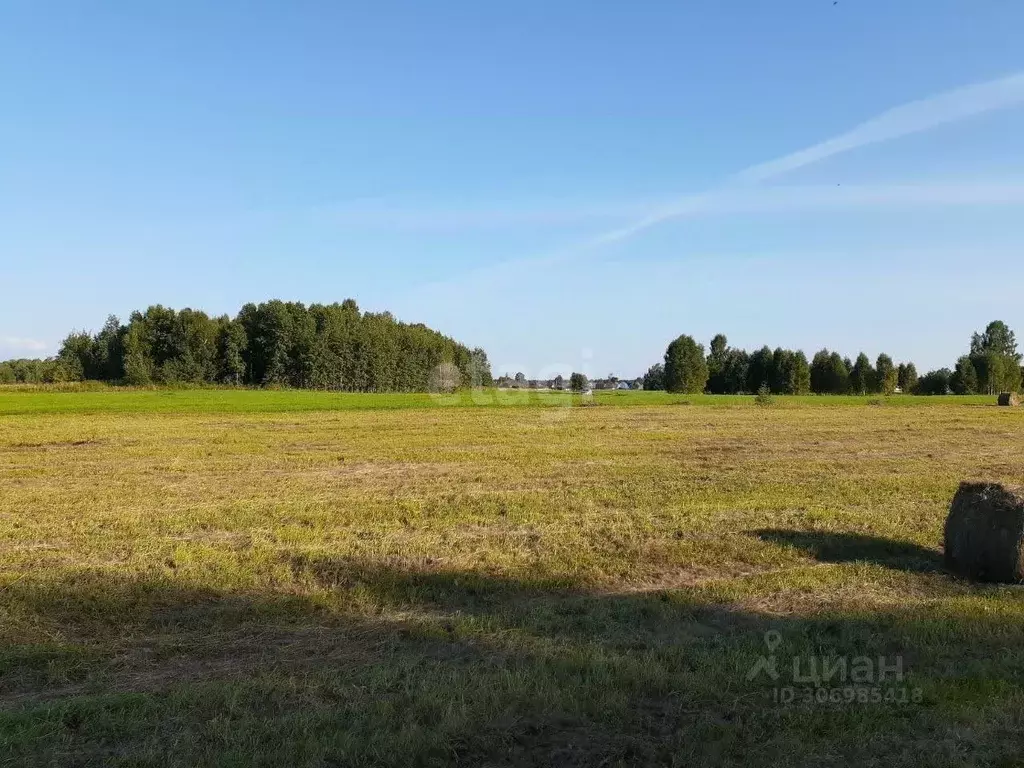 Участок в Томская область, Томский район, д. Кандинка  (868.0 сот.) - Фото 0