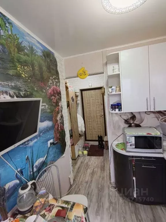 1-к кв. Омская область, Омск просп. Мира, 165Г (21.0 м) - Фото 2